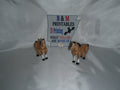 Horse Brown