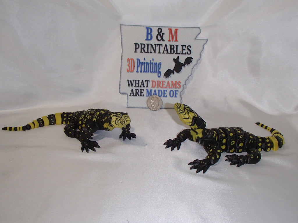 Water Monitor