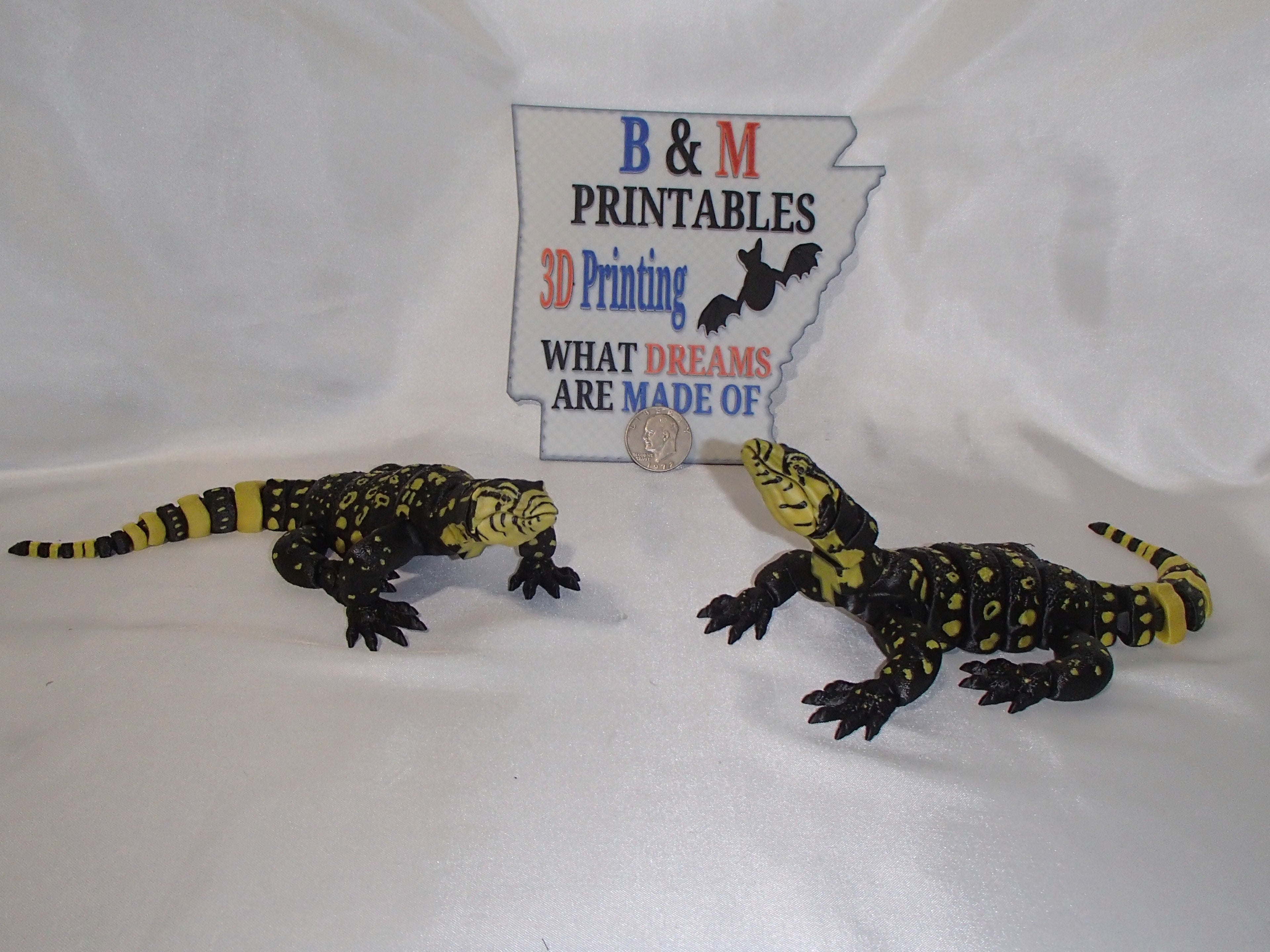 Water Monitor