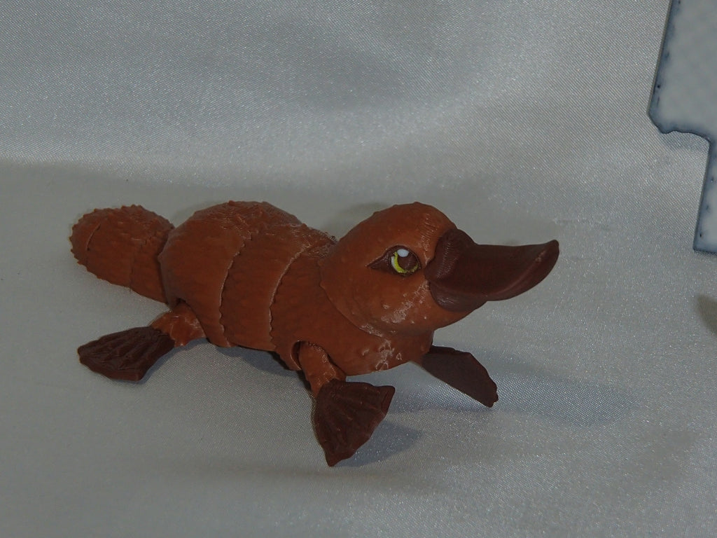 Playpus