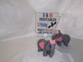 Baby Girl Elephant