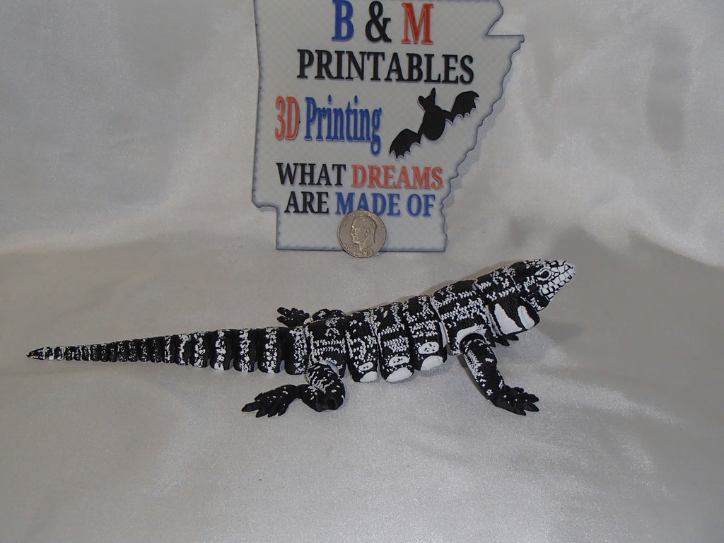 Tegu Lizard