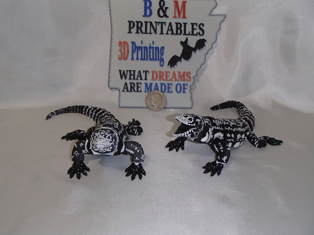 Tegu Lizard