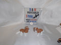 Cavalier King