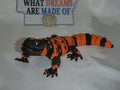 Banded Gila Dragon