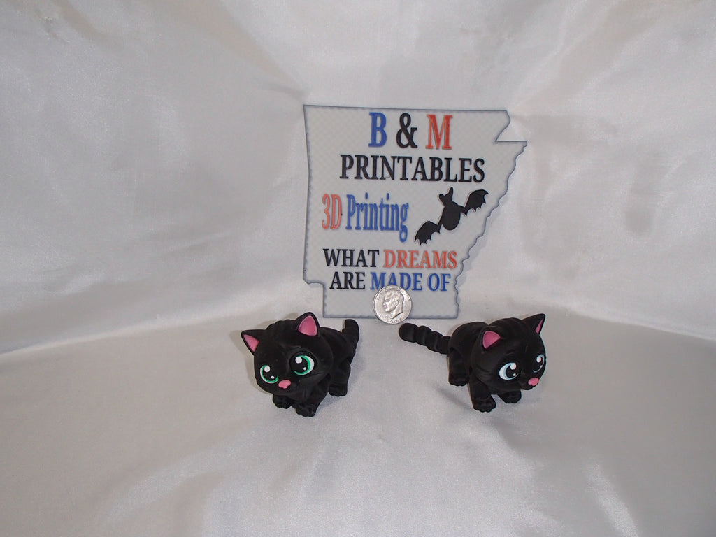 Black Kitten