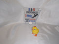 boy Chick Small
