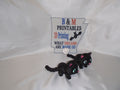 Black Kitten