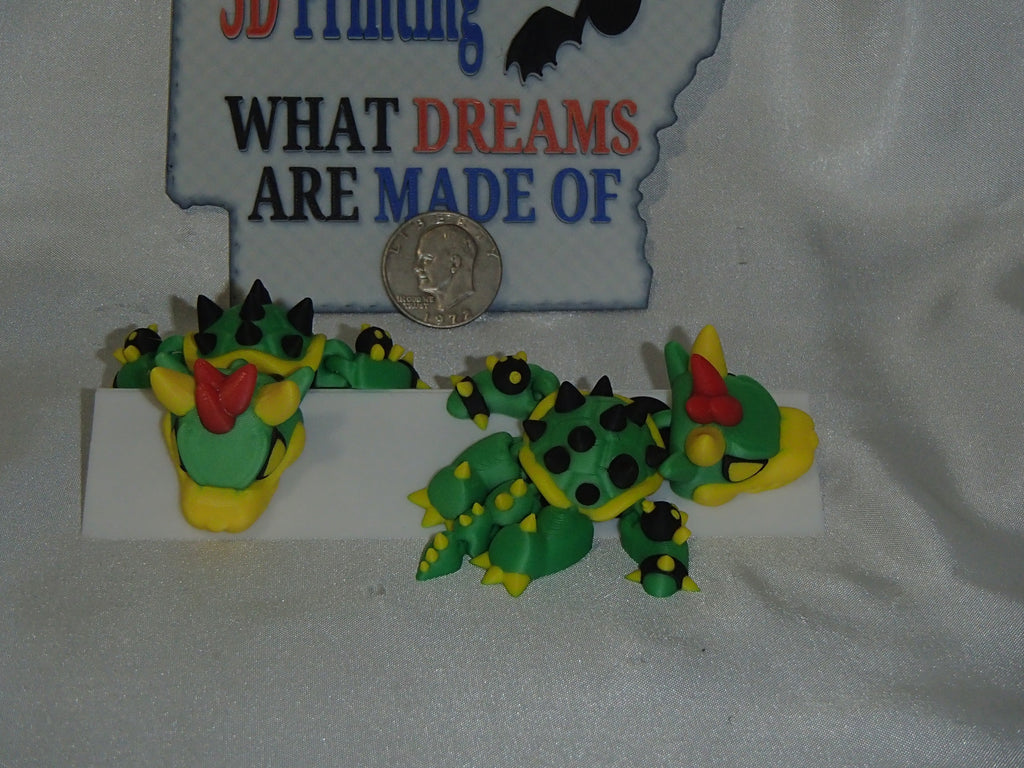 Snapper Turtle