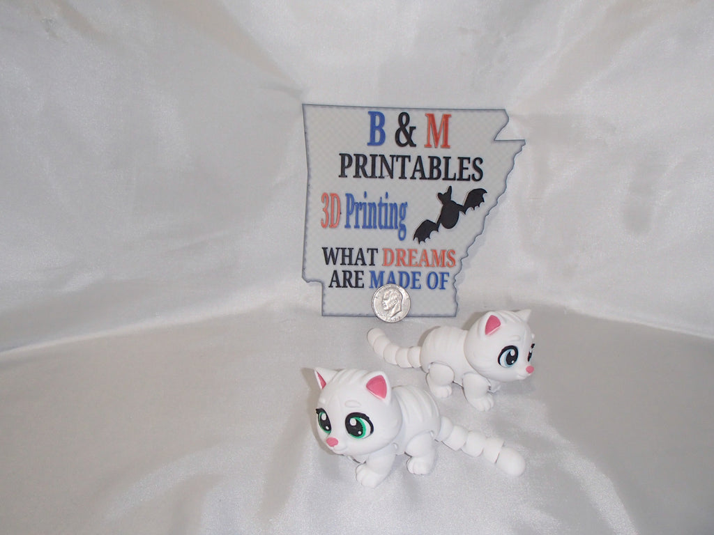White Kitten