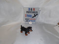 Dachshund