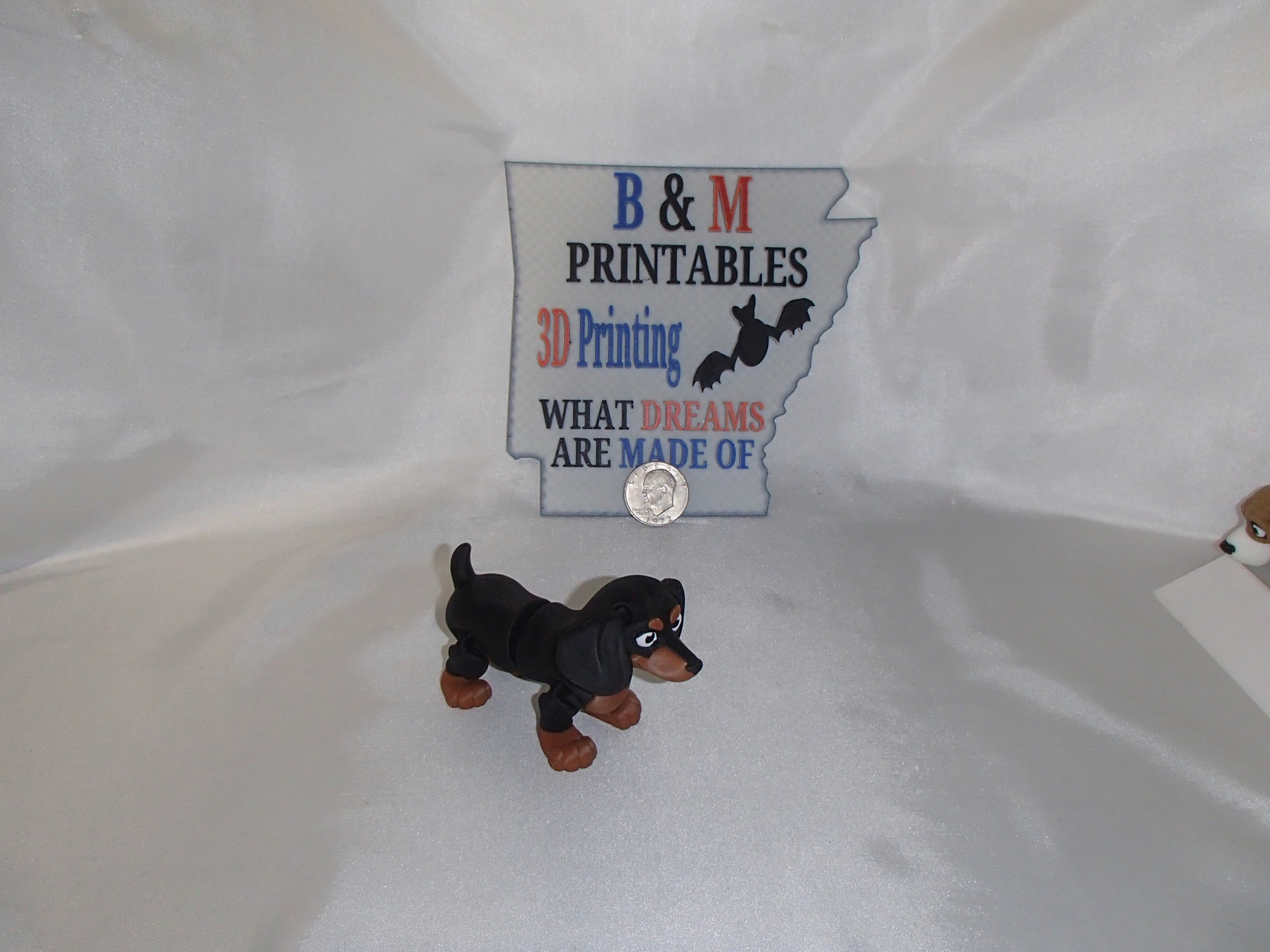 Dachshund