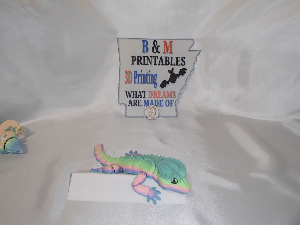 Gecko Lizard rainbow