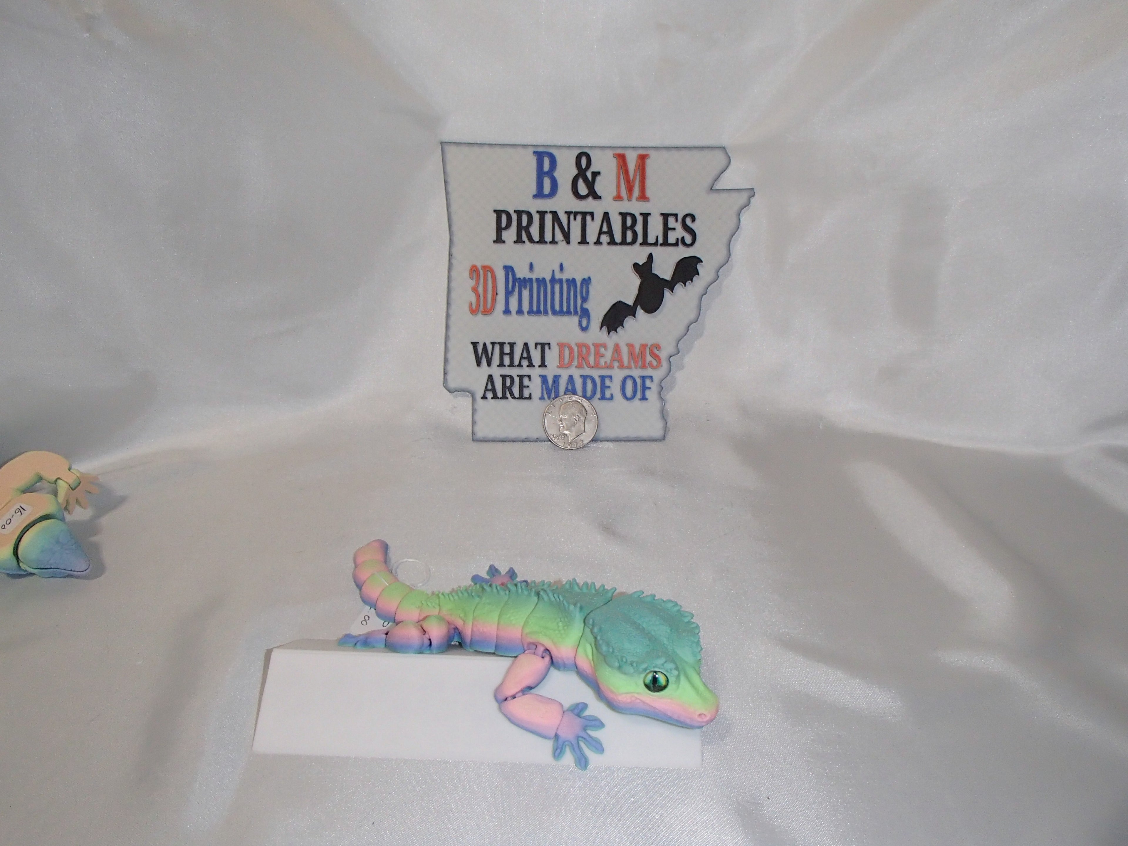 Gecko Lizard rainbow