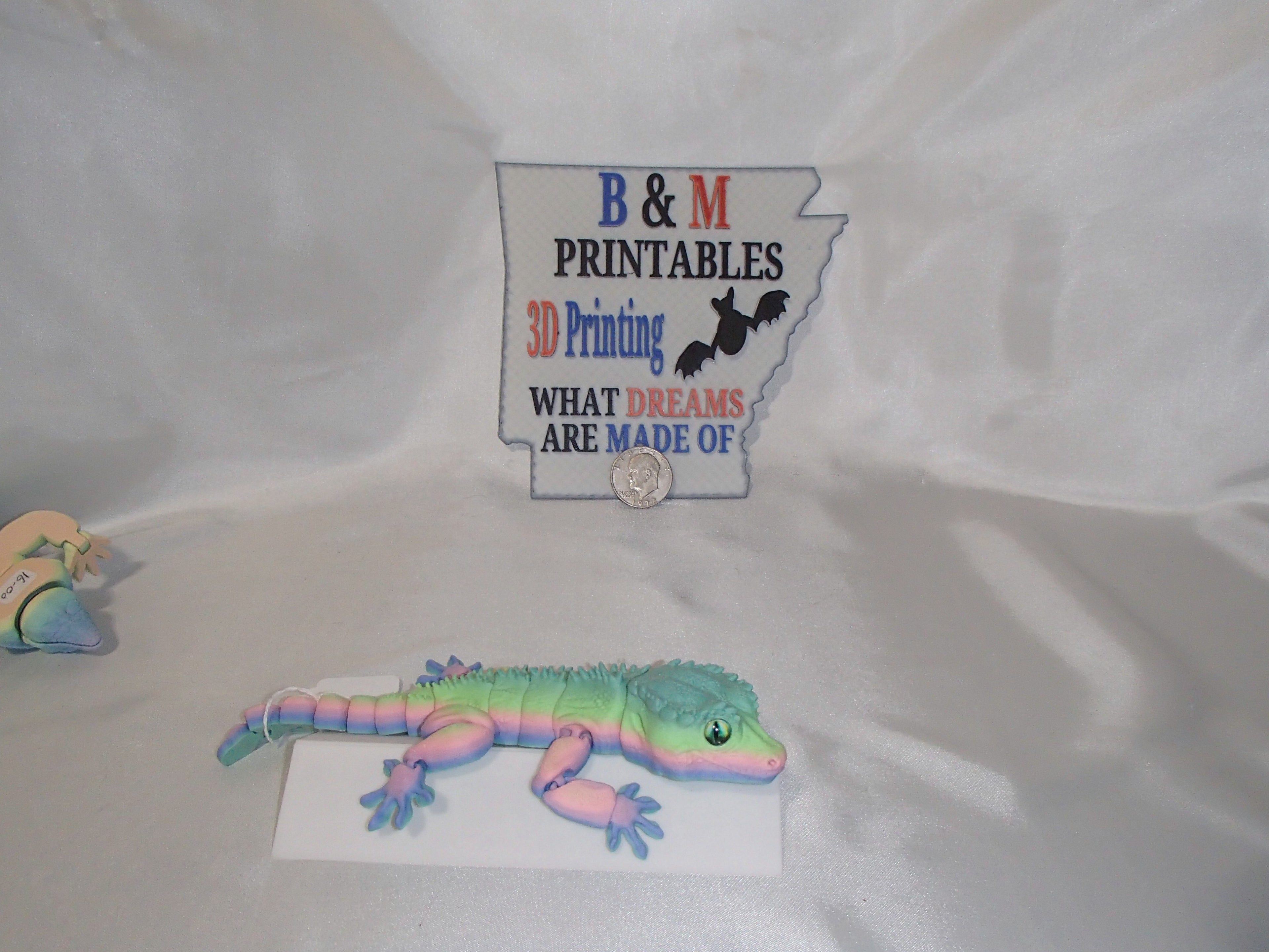 Gecko Lizard rainbow
