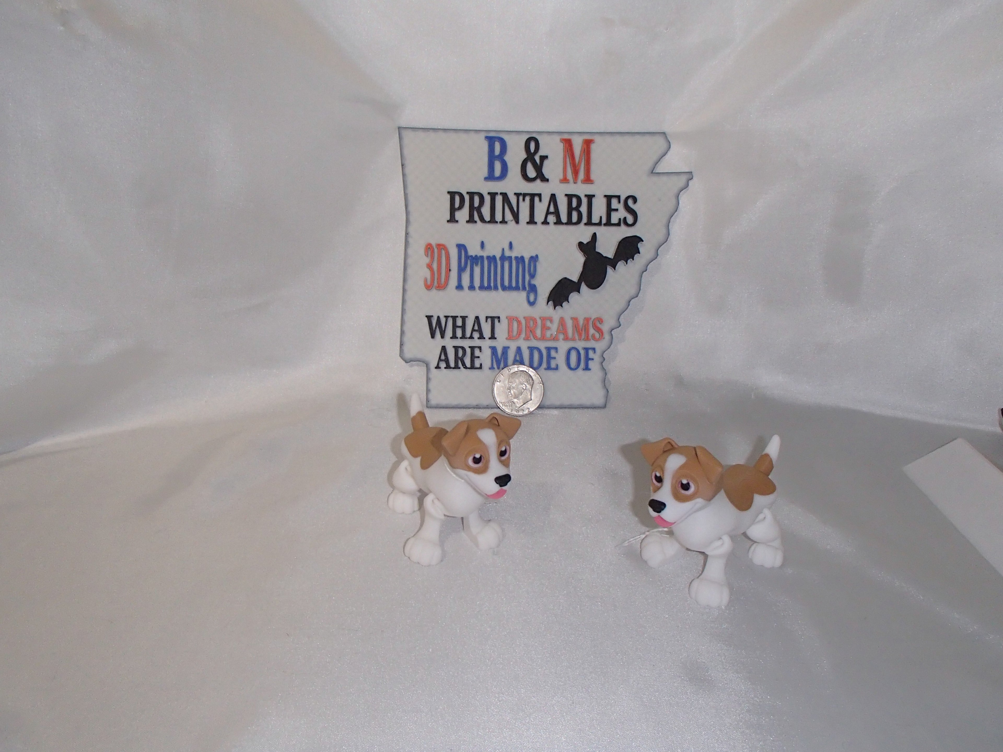 Jack Russel Terrier