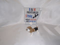 Basset Hound