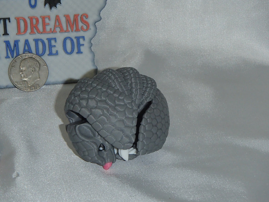 Armadillo