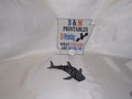Whale Shark